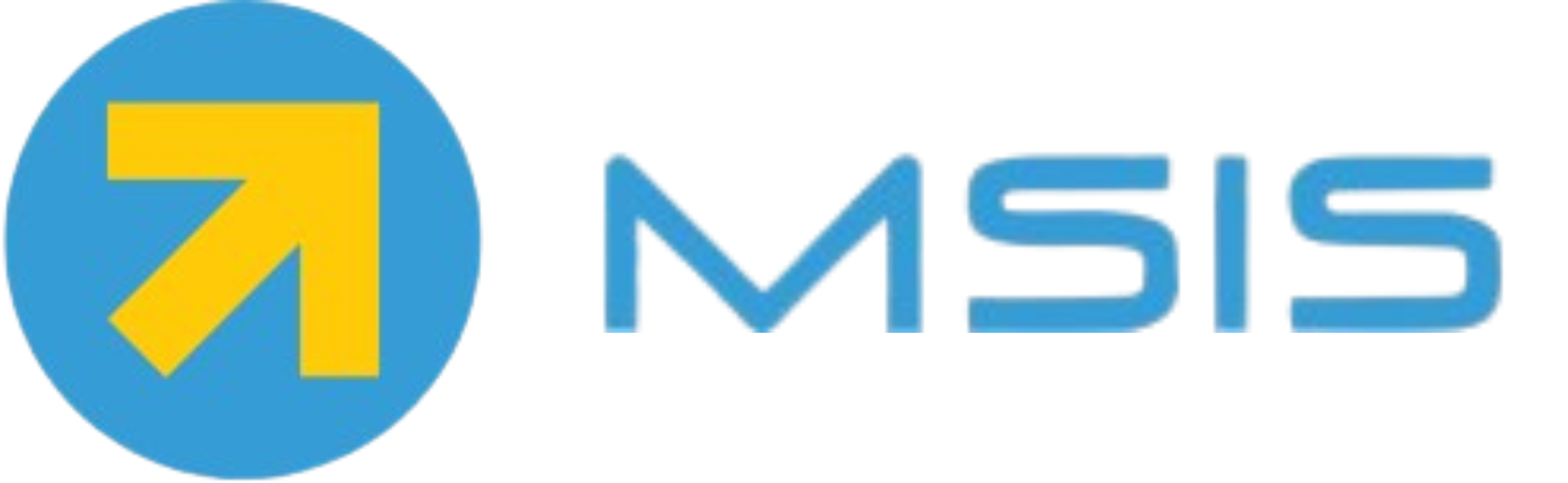 MSIS Support